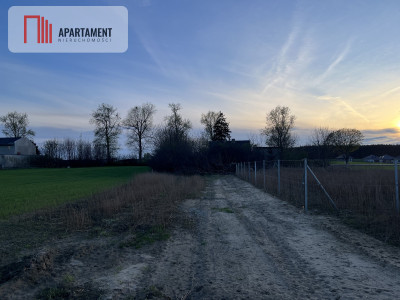 Działka budowlana pod Barcinem - powiat żniński  -
Kujawsko-Pomorskie Zdjęcie nr 5