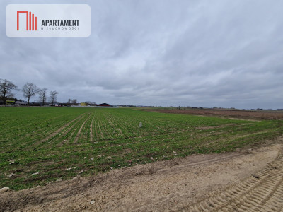 Działka budowlana pod Barcinem - powiat żniński  -
Kujawsko-Pomorskie Zdjęcie nr 7