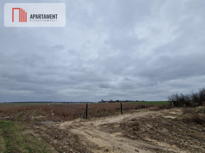 Działka budowlana pod Barcinem - powiat żniński  -
Kujawsko-Pomorskie Zdjęcie nr 8
