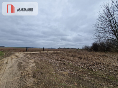 Działka budowlana pod Barcinem - powiat żniński  -
Kujawsko-Pomorskie Zdjęcie nr 9