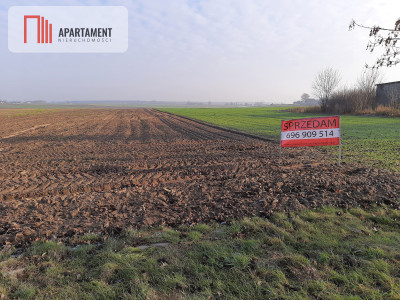 Duża działka między Barcinem a Łabiszynem  - powiat żniński  -
Kujawsko-Pomorskie Zdjęcie nr 4