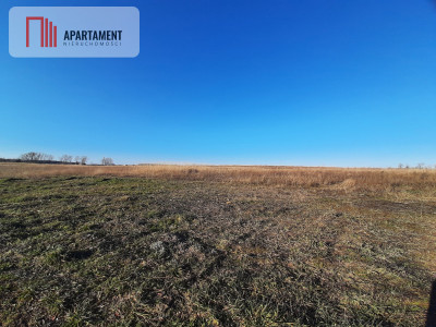 Działki pod budowę domu pod Barcinem  - powiat żniński  -
Kujawsko-Pomorskie Zdjęcie nr 2