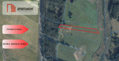 3 działki  Jasieniec gm Trzciel - powiat międzyrzecki  -
Lubuskie Zdjęcie nr 2