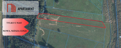 3 działki  Jasieniec gm Trzciel - powiat międzyrzecki  -
Lubuskie Zdjęcie nr 3