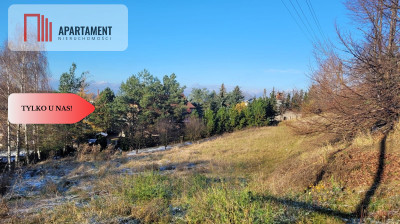 Działka budowlana obniżka ceny o 20 000 zł  - powiat sępoleński  -
Kujawsko-Pomorskie Zdjęcie nr 3