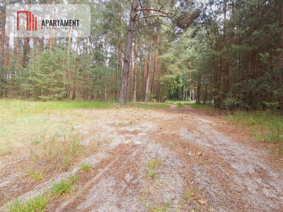 Działka w pięknej okolicy - 1742m2 - powiat chodzieski  -
Wielkopolskie Zdjęcie nr 3