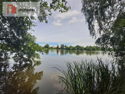 Działka w pięknej okolicy - 1742m2 - powiat chodzieski  -
Wielkopolskie Zdjęcie nr 4