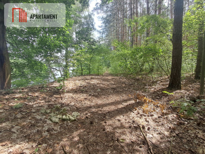 Działka w pięknej okolicy - 1742m2 - powiat chodzieski  -
Wielkopolskie Zdjęcie nr 5