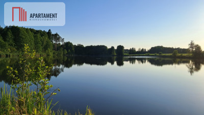 Działki wraz ze stawem - powiat czarnkowsko-trzcianecki  -
Wielkopolskie Zdjęcie nr 9