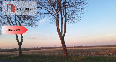 okazja działka rolna 224 hektara Włodzimierka - powiat radziejowski  -
Kujawsko-Pomorskie Zdjęcie nr 6
