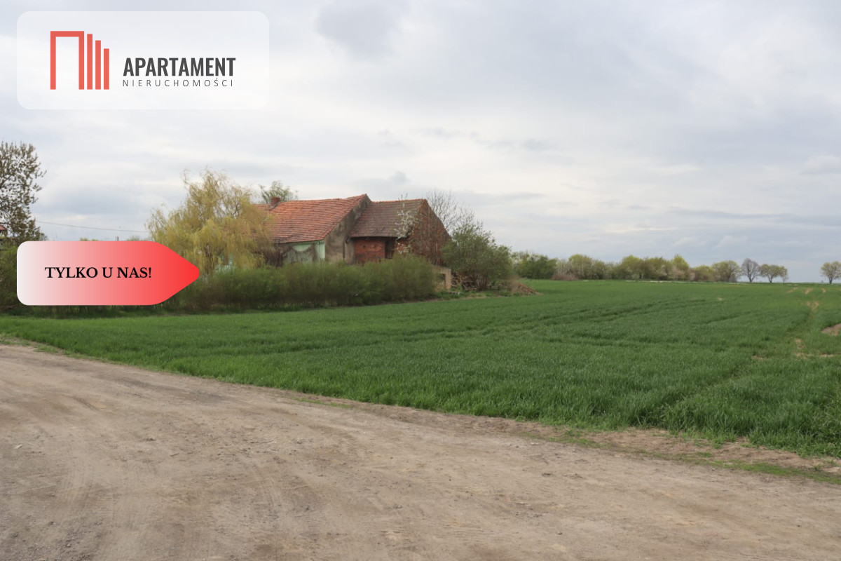 Duża działka 115 ha z zabudowaniami - powiat średzki  -
Dolnośląskie Zdjęcie nr 1