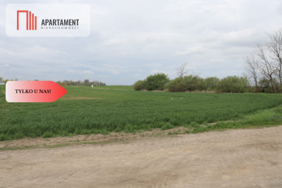 Duża działka 115 ha z zabudowaniami - powiat średzki  -
Dolnośląskie Zdjęcie nr 3