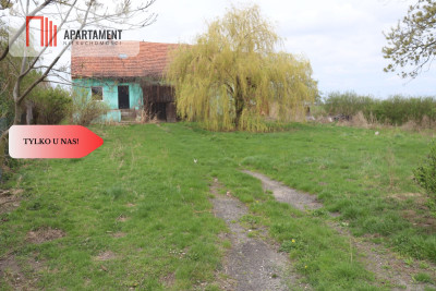 Duża działka 115 ha z zabudowaniami - powiat średzki  -
Dolnośląskie Zdjęcie nr 4
