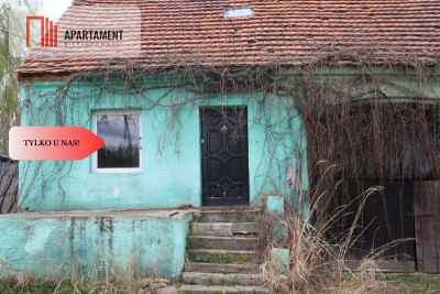Duża działka 115 ha z zabudowaniami - powiat średzki  -
Dolnośląskie Zdjęcie nr 7