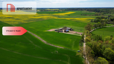 działka rolna - powiat starogardzki  -
Pomorskie Zdjęcie nr 6