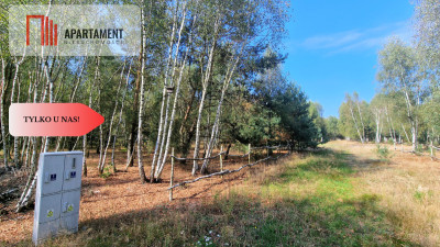 Tylko u Nas Działki budowlane 15 minut od Gniezna - powiat gnieźnieński  -
Wielkopolskie Zdjęcie nr 7