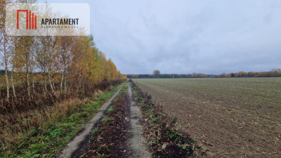 Działka z warunkami zabudowy - powiat bydgoski  - Kujawsko-Pomorskie