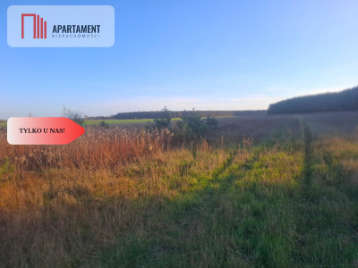 TYLKO U NAS  ATRAKCYJNA DZIALKA WSRÓD LASU - powiat chełmiński  -
Kujawsko-Pomorskie Zdjęcie nr 4