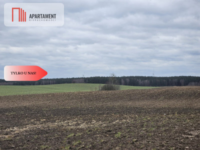 Tylko u nas - działka rolna - powiat starogardzki  -
Pomorskie Zdjęcie nr 2