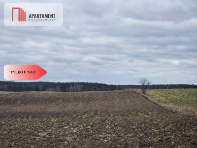 Tylko u nas - działka rolna - powiat starogardzki  -
Pomorskie Zdjęcie nr 3