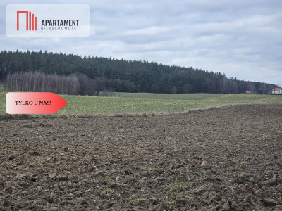 Tylko u nas - działka rolna - powiat starogardzki  -
Pomorskie Zdjęcie nr 4