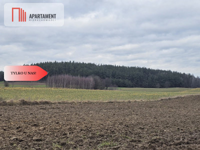 Tylko u nas - działka rolna - powiat starogardzki  -
Pomorskie Zdjęcie nr 6