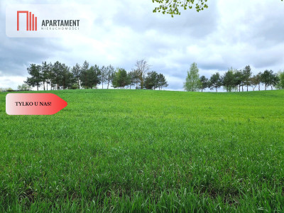 działki budowlane 2110 m2 - powiat świecki  -
Kujawsko-Pomorskie Zdjęcie nr 9