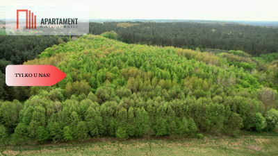 Gospodarstwo w głuszy Las Rzeka - powiat rypiński  -
Kujawsko-Pomorskie Zdjęcie nr 8