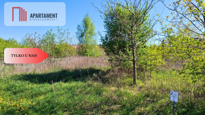2 działki budowlane w Niwach gm Osielsko - powiat bydgoski  -
Kujawsko-Pomorskie Zdjęcie nr 5