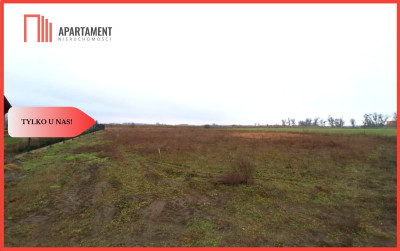 Wolwark-Działka budowlana 1500m2  z WZ - powiat nakielski  -
Kujawsko-Pomorskie
