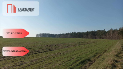TYLKO U NAS Super działki budowlane uzbrojone - powiat golubsko-dobrzyński  -
Kujawsko-Pomorskie Zdjęcie nr 8