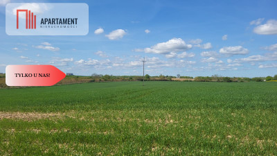 Działki Rolne Śmielin - powiat nakielski  -
Kujawsko-Pomorskie Zdjęcie nr 5