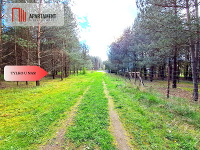 Działka w pięknej lokalizacji 800 m do jeziora - powiat tucholski  -
Kujawsko-Pomorskie Zdjęcie nr 6