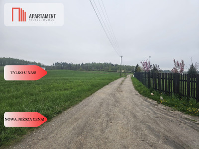 RYWAŁD- działka budowlana  3119m2 - powiat starogardzki  -
Pomorskie