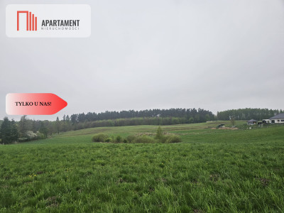 RYWAŁD- działka budowlana  3119m2 - powiat starogardzki  -
Pomorskie Zdjęcie nr 2
