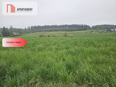 RYWAŁD- działka budowlana  3119m2 - powiat starogardzki  -
Pomorskie Zdjęcie nr 3
