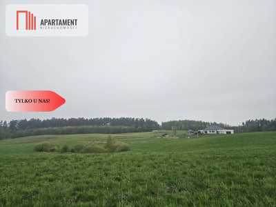 RYWAŁD- działka budowlana  3119m2 - powiat starogardzki  -
Pomorskie Zdjęcie nr 5