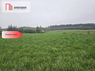 RYWAŁD- działka budowlana  3119m2 - powiat starogardzki  -
Pomorskie Zdjęcie nr 6
