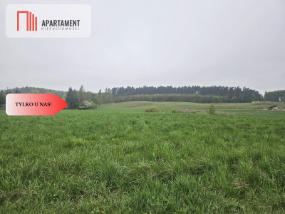 RYWAŁD- działka budowlana  3119m2 - powiat starogardzki  -
Pomorskie Zdjęcie nr 7