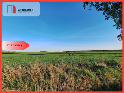 Działka w atrakcyjnej cenie- Boruchowo - powiat obornicki  -
Wielkopolskie
