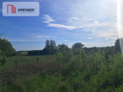Działka budowlana w centrum Krzelowa - powiat wołowski  -
Dolnośląskie Zdjęcie nr 3