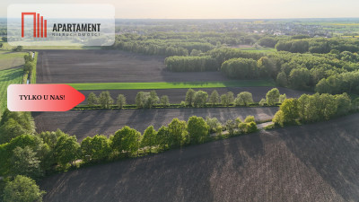 Duża Eko działka przy rzece i lesie - powiat wrocławski  -
Dolnośląskie Zdjęcie nr 10