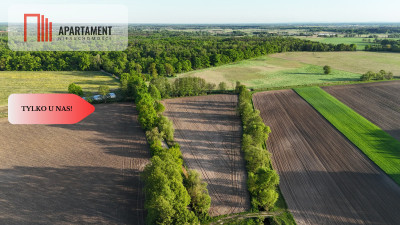 Duża Eko działka przy rzece i lesie - powiat wrocławski  -
Dolnośląskie Zdjęcie nr 11