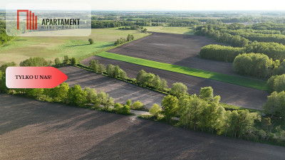 Duża Eko działka przy rzece i lesie - powiat wrocławski  -
Dolnośląskie Zdjęcie nr 2