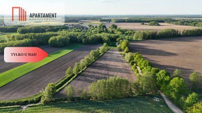 Duża Eko działka przy rzece i lesie - powiat wrocławski  -
Dolnośląskie Zdjęcie nr 3