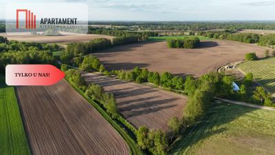 Duża Eko działka przy rzece i lesie - powiat wrocławski  -
Dolnośląskie Zdjęcie nr 8