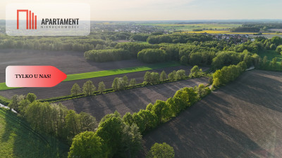 Duża Eko działka przy rzece i lesie - powiat wrocławski  -
Dolnośląskie Zdjęcie nr 9