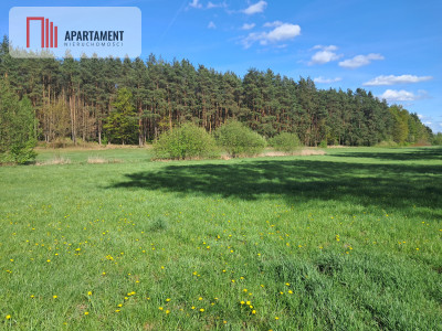 Działka siedliskowa z potencjałem na agroturystykę - powiat złotowski  -
Wielkopolskie Zdjęcie nr 2