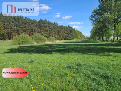 Działka siedliskowa z potencjałem na agroturystykę - powiat złotowski  -
Wielkopolskie Zdjęcie nr 3