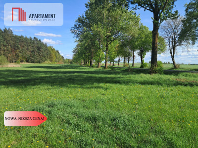 Działka siedliskowa z potencjałem na agroturystykę - powiat złotowski  -
Wielkopolskie Zdjęcie nr 4